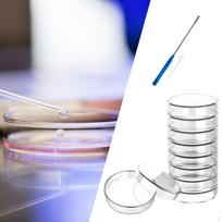Stiklinės Petri lėkštelės auginimo reikmėms 60mm