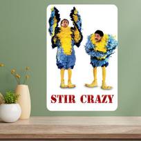 Stir Crazy Klasikinio Filmo Metalo Plakatas 20x30cm（7.8x11.8inch）