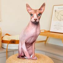 Realistiškas 3D katės pliušinis žaislas, minkštas įdarytas gyvūno lėlės miego pagalvė, sofos pagalvėlė, animacinis namų dekoras, dovana 48cm beige