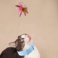 Cat Feather Teaser Neck Wrap, IQ Improving Training Interactive Toy, Teasing Wand 1pcs Pink 1pcs Blue