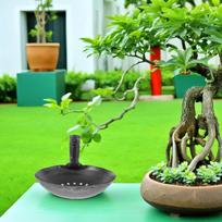 Metal Muck Scoop Iron Dung Cleaning Ladle Shovel Garden Muck Sifting Scoop For Sludge Mud Debris Removal Farm Lawn Well Path China Mainland