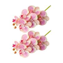 Pack of 2 Butterfly Orchids Flower for Handmade Wreaths and Bouquets Artificial Phalaenopsis Indoor Florals Arrangements 1