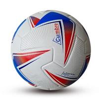 Profesionalus futbolo kamuolys vyrams 2024 rungtynėms PU Dydis 5 futbolo kamuoliai Lauko sporto treniruočių futbolo kamuoliai Aukštos kokybės komandinio sporto futbolo kamuolys gray