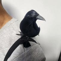 Realistic Lifelike Crow with Shoulder Strap Cosplay Costume  Cosplay Costume 04 17x9x7cm
