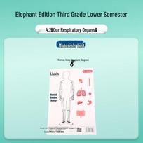 Third Grade Science Kit: Human Body - Respiratory System Diagram 4.2 Our Respiratory Organs (Textbook Synchronized)