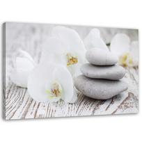 Drobės spaudinys Orchidėjos Zen Spa Akmenys 60x40 pilka spalva