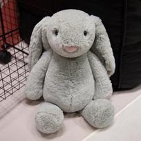 Cute Long Ears Looper Rabbit Plush Doll Pillow Kawaii Gray White Brown Healing Rabbit Plush Toy For Kid Birthday Gift 20cm