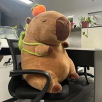 80cm oversized Kapibala Capybara Plush Toy Internet Celebrity Capybara Jun Doll Ugly Cute Doll Guinea Pig Doll Boys Girls Kawaii 80cm