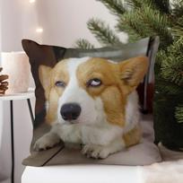 Double Sided Cute Corgi Dog Design Soft Throw Pillow Cover For Bed Sofa And Lounge Chair Holiday Home Decoration Peach skin 18*18(CM)-1Pcs