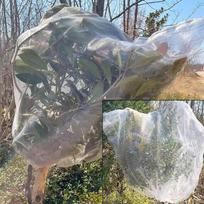 Tinklinis augalų apsaugos gaubtas su užtrauktuku lauko sodo medžiams ir krūmams, apsaugantis nuo vabzdžių tinklinis maišelis One Size balta