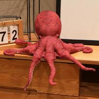 40-80cm Lifelike Octopus Plush Toy Stuffed Simulation Sea Animal Plush Toys Red Octopus Dolls & Stuffed Toys Realistic Plushie 40cm raudona