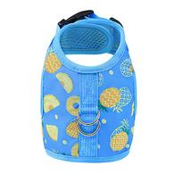 Summer Escape-proof Cat Harness - 3d Mesh Breathable Vest With Reflective Stripes & Quick-snap Leash Set S mėlyna