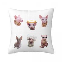 Macrame Anime Sphynx Cat BINGUS Square Pillowcase Cushion Cover Pillow Case Throw Pillow Cover for Home Bedroom Car 12x12Inch