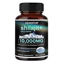 Gold Grade Himalayan Shilajit Capsules 10000mg, Premium Trace Minerals Supplement with Fulvic Acid, Energy & Endurance Support 120PCS