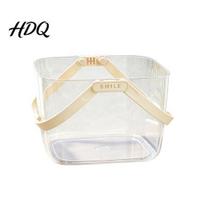 Fruit And Vegetable Organizer Transparent Picnic Basket with Handle Large Capacity Organizer