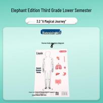 Third Grade Science Experiment Kit: Human Body Structure - A Magical Journey Standard