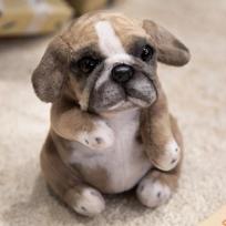 sale Hot Realistic Sitting Poodle Pug Puppy Plush Toy Stuffed Doggy Cute Fluffy Pet For Room Decor Children's Birthday Gift 15cm-30cm