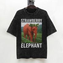Strawberry Elephant Italian Brainrot Meme T Shirt Washed Cotton TShirt  Vintage for Men Women Streetwear Printed Tee Shirt S