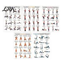 Warm-up And Shaping Exercises 5Pcs Dumbbell Workout Poster, Home Exercise Chart for Arm Body Sculpting Leg Hip Core, Full Training Guide Wall 5pcs