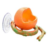 Suction Cup Lizard Feeder Funny Reptile Water Dispenser Pet Toy Pet Feeding Bowl  for Lizard Gecko Orange