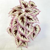 Faux Begonia Wall Mounted Plant Decor For Wedding Photography And Interior Design Pink