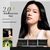 L'Oréal Excellence 2.0 Hair Color Cream