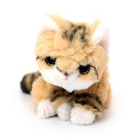 Cute Plush Toy Floppy Sand Cat SS Z0324 -