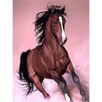 Deimantiniai siuvinėjimai Anmial Siuvinėjimas kryželiu „pasidaryk pats“ deimantinis tapyba „Horse“ namų dekoravimas 20X30CM