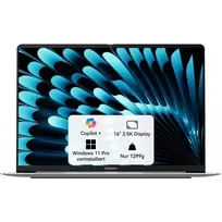 GEEKOM GEEKBOOK X16 PRO (Silver, Intel Core Ultra 5 125H, Intel Arc Graphics, 32GB LPDDR5, 1 TB SSD, Windows 11 Pro)