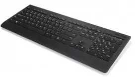 Lenovo Professional Wireless Keyboard 2.4 GHz QWERTZ Black