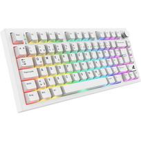 Sharkoon SGK55W SKILLER belaidė žaidimų klaviatūra, 75% išdėstymas, PBT klavišai, balta