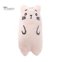 Kitten Chew Toy Stuffed Animal Catnip Toy, Soft Plush Cat Cute Bear Duck Frog Enrichment for Indoor Cats Kittens Teething rožinė