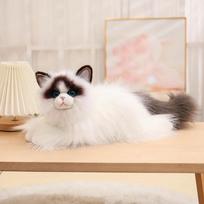 50CM Imituotas Skudurinės Lėlės Katės Pliušiniai Žaislai Ilgaplaukės Mėlynakės Lėlės Kawaii Namų Dekoracija Realistiški Gyvūnų Žaislai 50cm