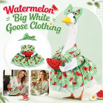 Watermelon Costume for - Shaped Pet Outfit for Clothing Accessories, Cute Bird Costume One Size