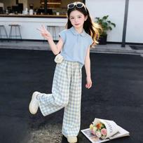 Girls' Summer Korean Plaid Two-Piece Set: Loose Straight-Leg Pants & Top 150cm mėlyna