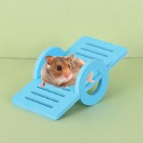 Exercise Play  Small Animal Swing Pet Sport Exercise  Set Hamsters House Rainbow Bridge Gerbil