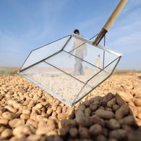 slotted grain shovel Stainless Steel Easy Grip Soil Sieve gardening sifting sand grain piston sifter agriculture collection tool Mesh 1.2 1.2cm
