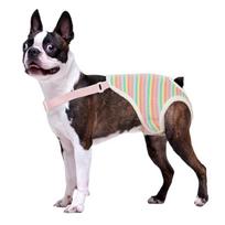 Fashion Dog Underwear Washable Pet Diaper Pants With Adjustable Strap For Secure During Outdoor Activity XL