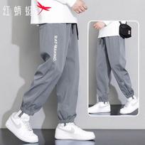 RED DRAGONFLY Men's Summer Lightweight Quick-Dry Jogger Pants L pilka spalva
