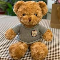 30cm Cute Teddy Bear Plush Toy Wearing Sweater Adorable Stuffed Animal with Soft Sweater Teddy Bear Perfect Gift for Kids 30cm mėlyna