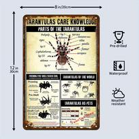 D Flat Vintage Tarantula Anatomy Metal Sign  UV Printed Iron Wall Decor Educational  Durable with PreDrilled Holes 20x30cm（7.8x11.8inch）