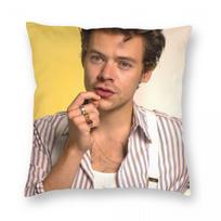 Harrys Styles Pillowcase Double-sided Printing Polyester Cushion Cover Decorations Throw Pillow Case Cover Sofa Square 40X40cm 12x12Inch