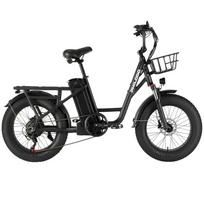 Philodo T1 Electric commuter bike 750W motor 48V 20Ah battery 20x4-inch fat tires front and rear hydraulic disc brakes.