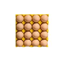 Egg Refrigerator - Decorative Fridge and Car Interior Accessory One Size