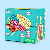 Science Experiment Human Body Organs Magic Cube For Students Educational Diy Toy