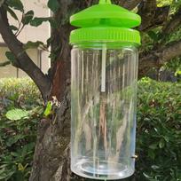 Large Fruit Fly and Wasp Trap with Attractant for Melon Flies green