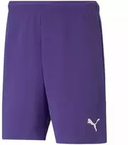 Puma teamRise Vyriški Šortai 704942 10