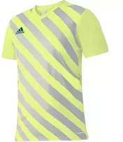 adidas Entrada 22 Grafinis marškinėliai M HF0118