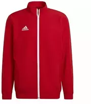 Adidas Entrada 22 Pristatymo Striukė M H57536 džemperis
