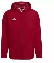 Adidas Entrada 22 Neperšlampama Striukė Vyrams HG6299